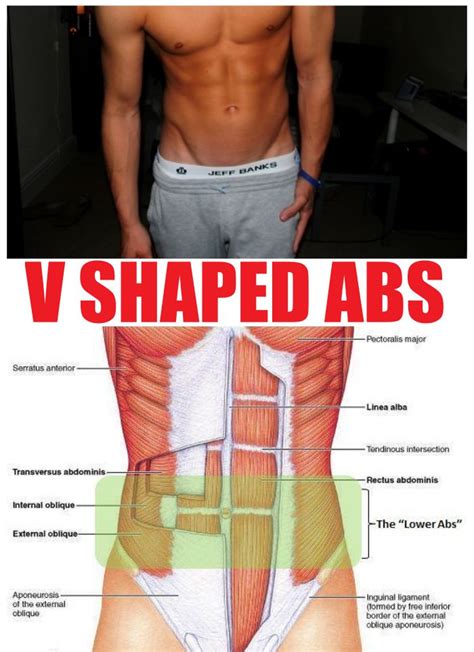 Workout To Get V Shaped Abs Urbandine