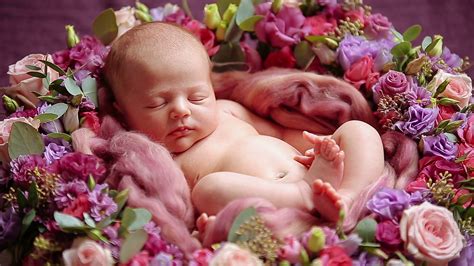 Cute Newborn Baby Girl Sleeping In Flowers Stock Video Footage 0008