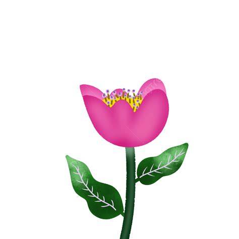 Pink Flowers Flower Floral Pink Flower Png Transparent Clipart Image