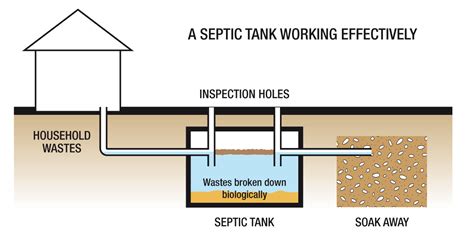 But even if you are installing a brand new septic tank system, it will be much cheaper than trying to connect to city sewage or another way of disposing of wastewater. probiotics for a better planet!