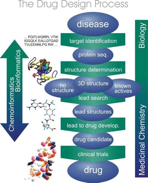 Flow Chart Of Drug Development Process Download Scientific Diagram