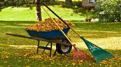 Fall And Spring Cleanups All Pro Lawn Service