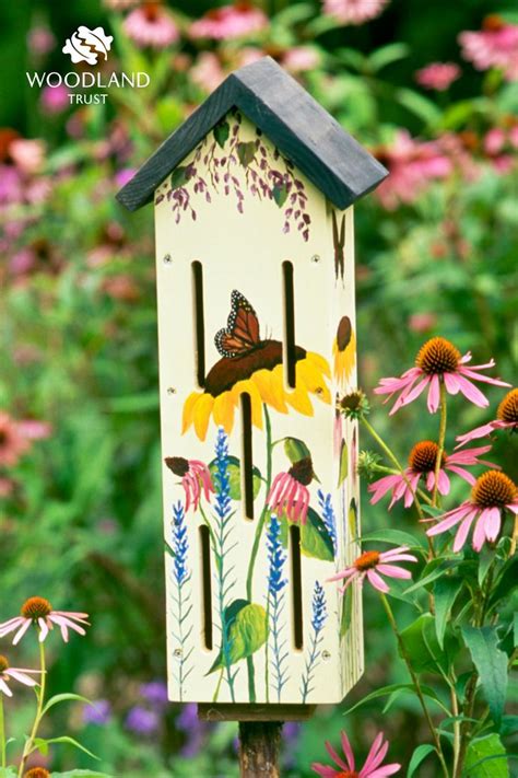 How To Make A Butterfly House A Step By Step Guide Woodland Trust