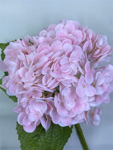bundle of 3 artificial real touch hydrangea stem in 2023 artificial hydrangeas floral