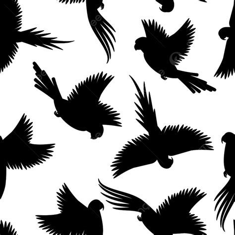 Background Pola Siluet Hitam Burung Dengan Latar Belakang Putih Burung