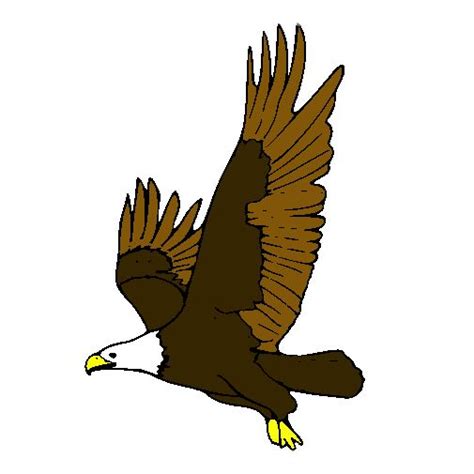 Águila Animalitos Para Colorear Aguila Dibujo Animales