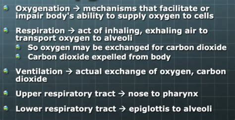 Chapter 15 The Concept Of Oxygenation Flashcards Quizlet