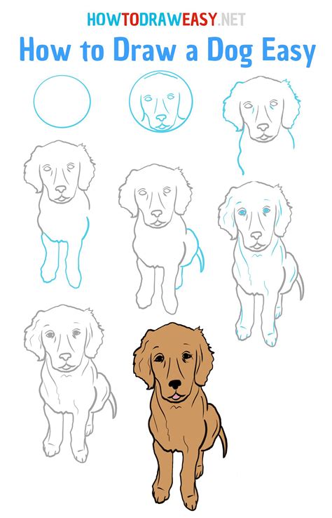 Dog Drawing For Kids Easy Step By Step Pic Derp