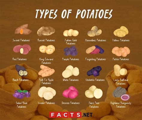 Varieties Of Potatoes