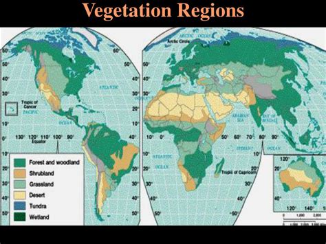 ppt global climate classification and vegetation relationships powerpoint presentation id 152366