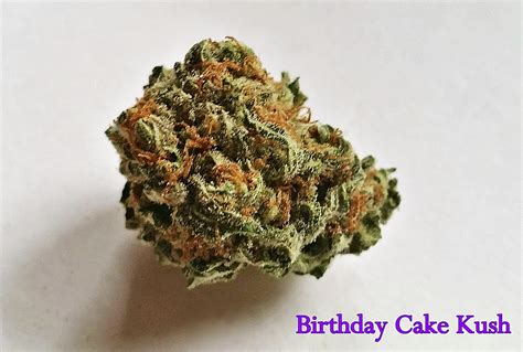 All products from layer cake strain category are shipped worldwide with no additional fees. My Favorite Strains: Birthday Cake Kush - Weedist