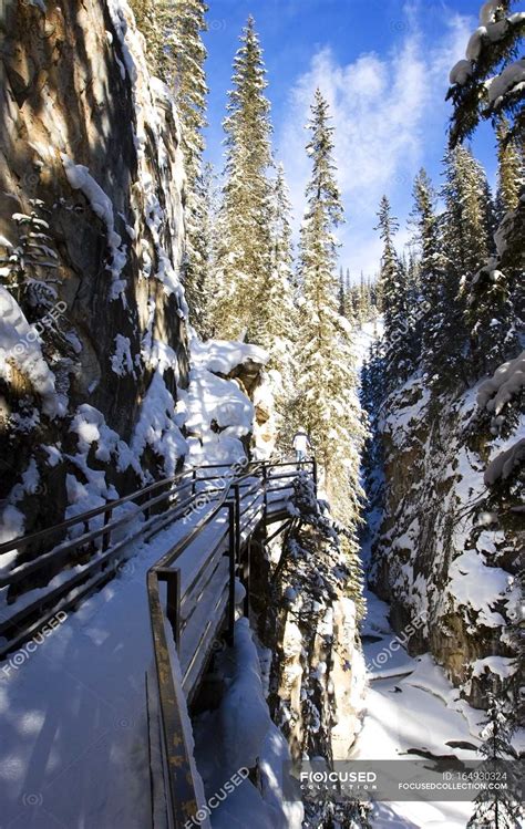 Johnston Canyon Banff National Park — Nature Snow Covered Stock
