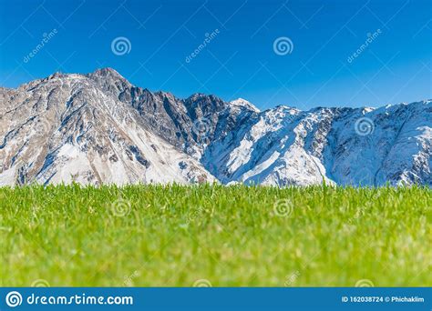 Green Meadow With Snowy Mountain And Clear Blue Sky In Background Stock