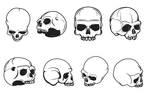 Set Of Skull Drawings Of Human Skull Vector 13593294 Vector Art At Vecteezy