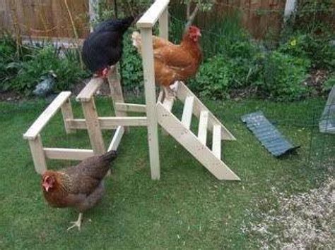 25 Ideas To House Entertain And Feed Your Chickens Tips And Tricks