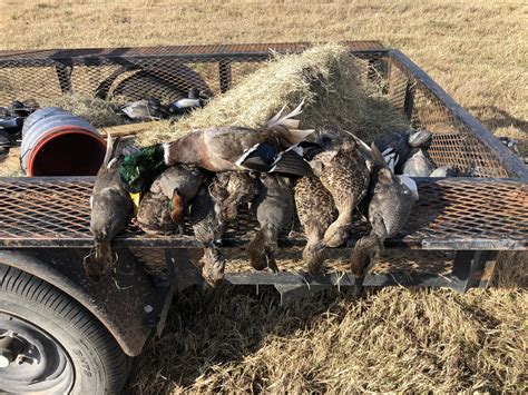 First Duck Hunt Italy Tx Rwaterfowl