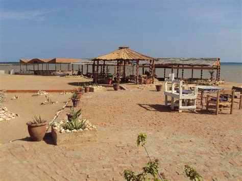 The Resort Picture Of Sudan Red Sea Resort Port Sudan Tripadvisor