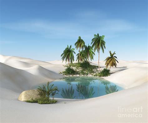 Oasis In The Desert Palm Trees Digital Art By Ustas7777777 Pixels