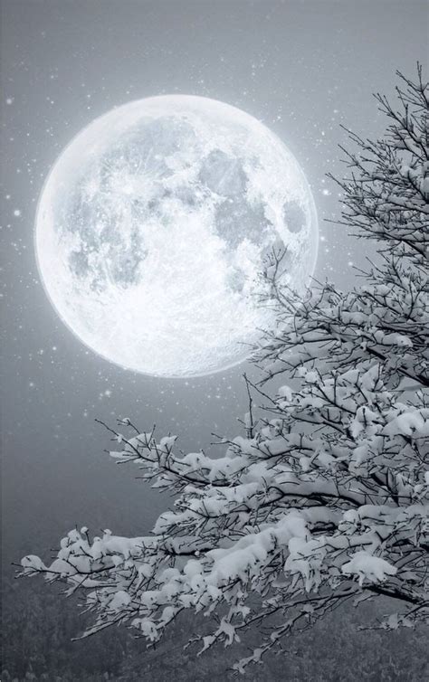 Winter Moon Beautiful Moon Beautiful Nature Shoot The Moon