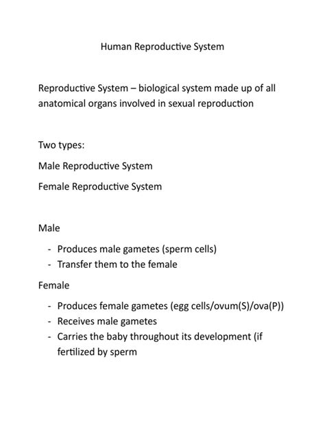 Human Reproductive System Pdf