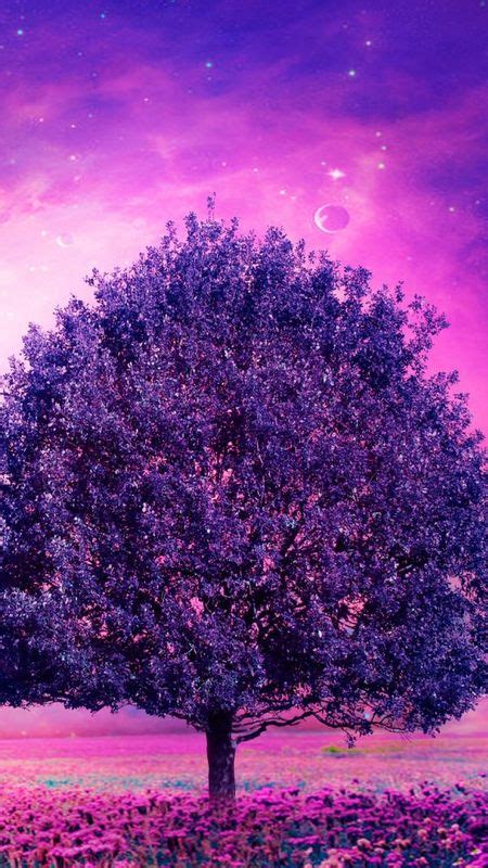 Purple Tree Wallpaper Download Mobcup