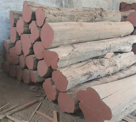 Indian Sagwan Teak Wood Log At Rs 3500cubic Feet Indian Teak Wood In Satna Id 2848957927912
