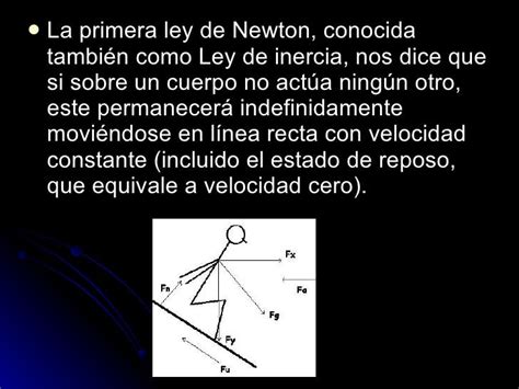 Aplicación De La Primera Ley De Newton