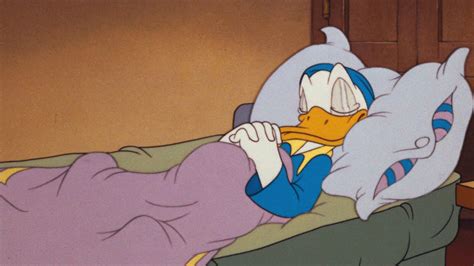 Donald Duck Sleeping