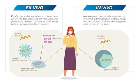 How Does Gene Therapy Work Esco Scientific