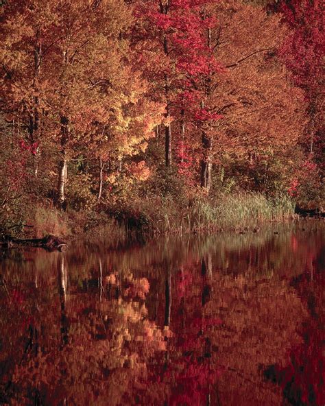 Autumn River ~ Marvelous Nature