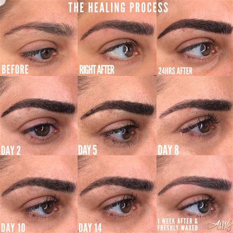 Microblading Eyebrows After Healing My XXX Hot Girl