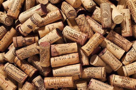 100 Wine Corks Winery Wine Cork Wine Corks With Logos Bulk Etsy