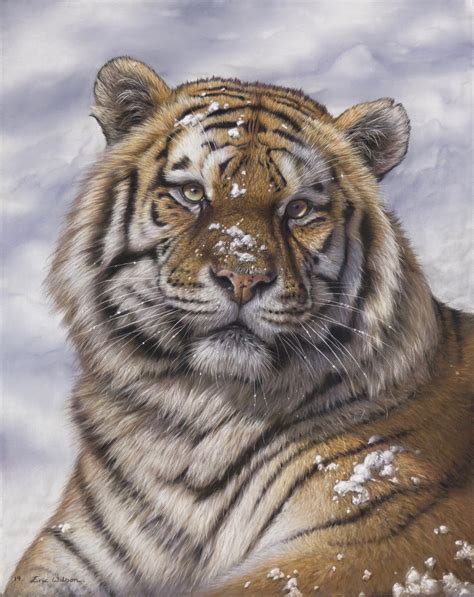 Eric Wilson Fine Art Tiger Paintings Original Fine Art Tiger Artwork