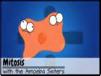 All of the offspring of the first cross have the same genotype, tt (heterozygous), so the possible combinations of offspring bred from these are Amoeba Sisters Handouts - Science with The Amoeba Sisters