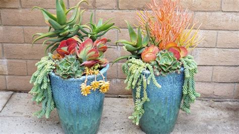 Planting Large Pots With Succulents Youtube In 2022 Plants Large