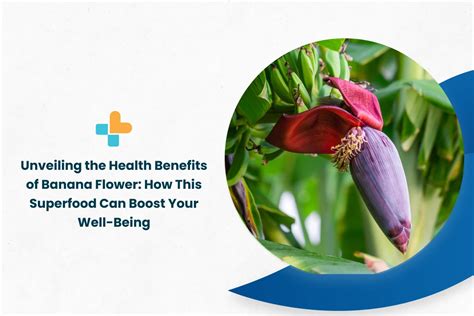 Unveiling The Health Benefits Of Banana Flower How This Superfood Can