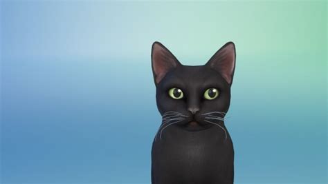 Players Wonderland Cat Whiskers Sims 4 Downloads