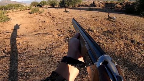 Cacería De Conejos Con Escopeta Y Rifle En San Pedro Youtube