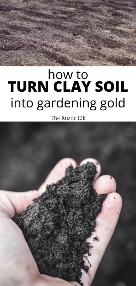 How To Turn Clay Soil Into Gardening Gold Amending Clay Soil