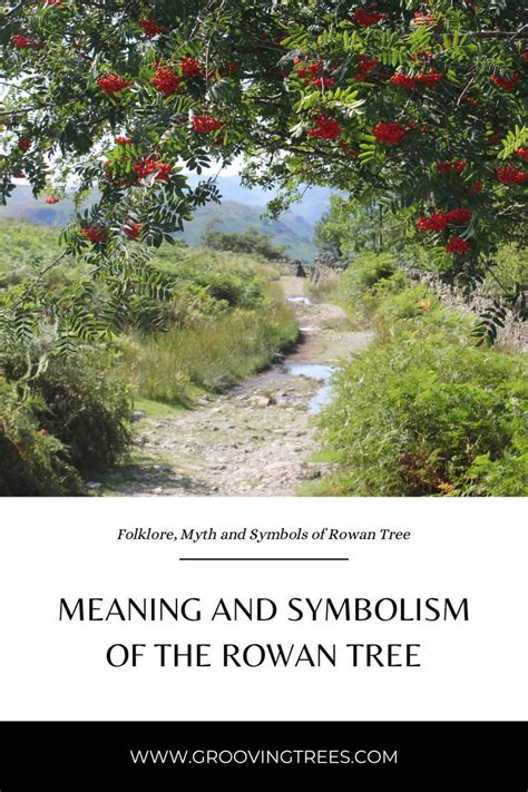 Rowan Tree Symbolism And Meanings Artofit