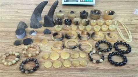Seized Jewellery And Beads Made Out Of Rhino Horn How To