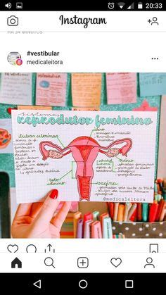 Ideas Para Infografias Biologias Aparato Reproductor Femenino Sistema