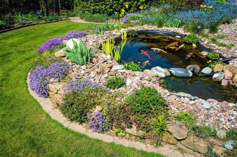Think of a koi pond as a swimming pool for koi. What Is A Koi Pond And How To Build Your Own (Best Setup ...