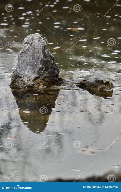 Reflection Of Rock On Water Stock Photo Image Of Autumn Outdoors
