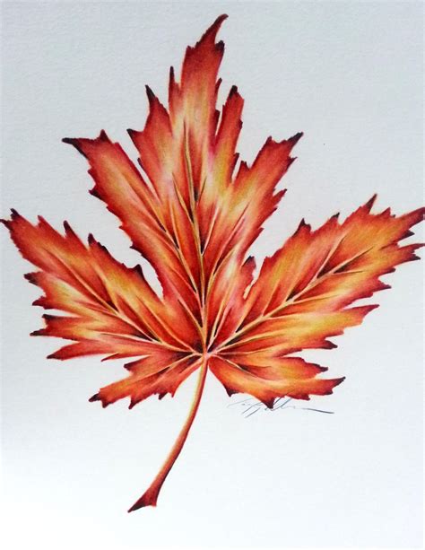 Maple Leaf Art With Cindy