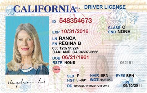 Fl Drivers License Back Ground Check Plmfriend