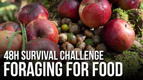 What's more, wild food grows at its own pace, it. 48h Survival Challenge: Foraging for Food - YouTube