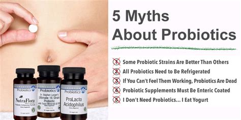 Which Are The Most Common Myths About Probiotics