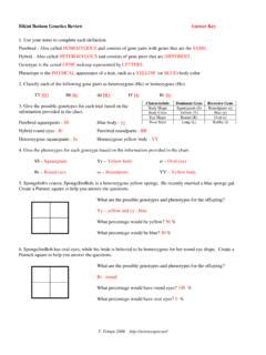 Only a spongebob expert can answer these 16 trivia questions. Bikini Bottom Genetics Name Incomplete Dominance Use … / bikini-bottom-genetics-name-incomplete ...