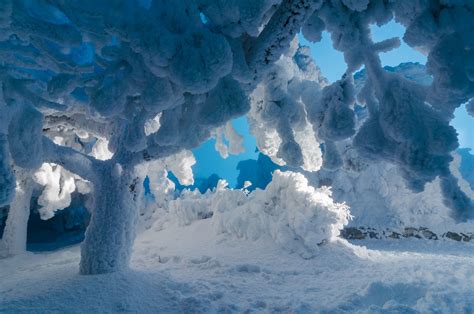 Nature Snow Ice Trees Sky Winter Frost Wallpapers Hd Desktop